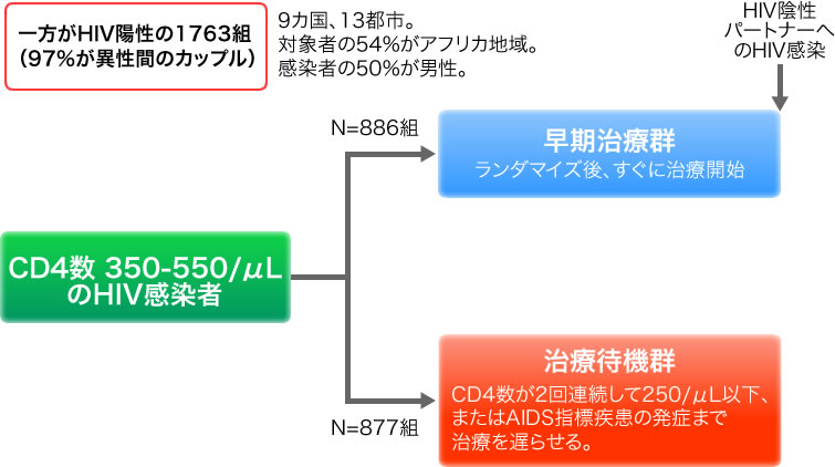 一方がHIV陽性の1763組。CD4数 350-550/μLのHIV感染者。早期治療群：ランダマイズ後、すぐに治療開始。治療待機群：CD4数が2回連続して250/μL以下、またはAIDS指標疾患の発症まで治療を遅らせる