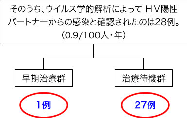 そのうち、ウイルス学的解析によってHIV陽性パートナーからの感染と確認されたのは28例。早期治療群：1例。治療待機群：27例
