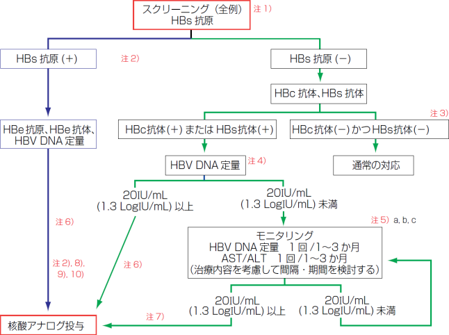 B型肝炎対策の方式を示したフロー図。「スクリーニング（全例）Hbs抗原（注1）」から二つに分かれ、「HBs抗原（＋）」の場合（注2）、「HBe抗原、HBe抗体、HBV DNA定量」へ進み、「核酸アナログ投与」を行う（注2,6,8,9,10）。「HBs抗原（＋）」の場合、「HBc抗体、HBs抗体」へ進み、結果によって分岐する。「HBc抗体（ー）かつHBs抗体（ー）」の場合（注3）「通常の対応」を行う。「HBc抗体（＋）またはHBs抗体（＋）」の場合、「HBV DNA定量（注4）」へ進み、結果によって分岐する。「20IU/mL（1.3LogIU/mL）以上」の場合、「核酸アナログ投与」を行う（注6）。「20IU/mL（1.3LogIU/mL）未満」の場合、「モニタリング HBV DNA定量 1回/1～3か月 AST/ALT 1回/1～3か月（治療内容を考慮して間隔・期間を検討する）」へ進む（注5 a,b,c）。「20IU/mL（1.3LogIU/mL）未満」の場合、「20IU/mL（1.3LogIU/mL）以上」になるまでモニタリングを繰り返し、条件を満たしたら「核酸アナログ投与」を行う（注7）。