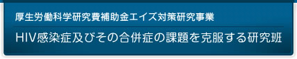 厚生労働科学研究費補助金エイズ対策研究事業　HIV感染症及びその合併症の課題を克服する研究班