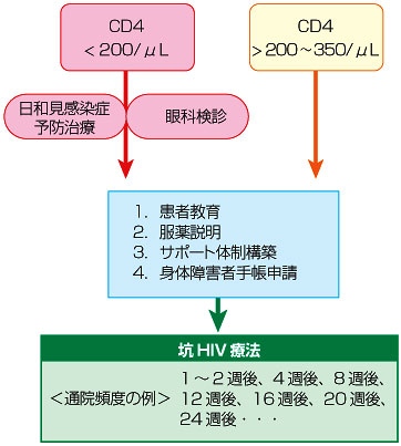 治療開始までの流れ 治療開始までの流れ