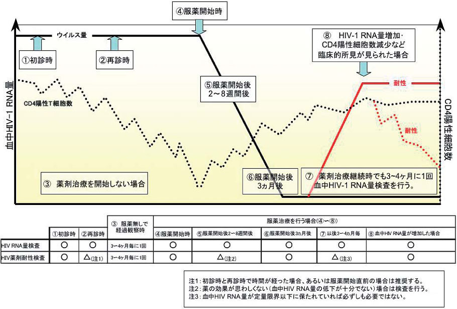 �}3-3����HIV-1RNA�ʌ����Ɩ�ܑϐ��������s���^�C�~���O�́H